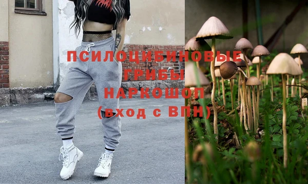 молекула духа Приозерск